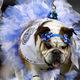 Photo Credit: Charlie Neibergall/AP